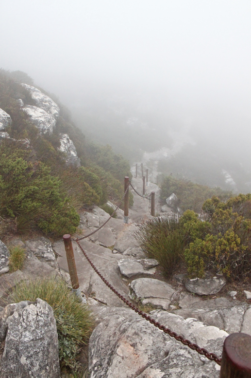 table mountain in the mist